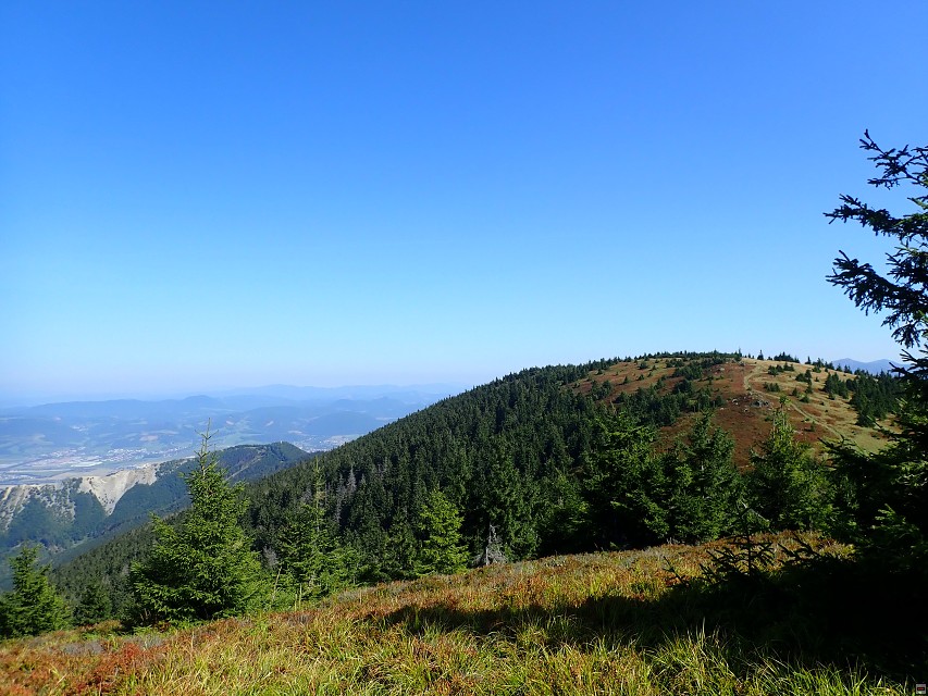 img00027.jpg