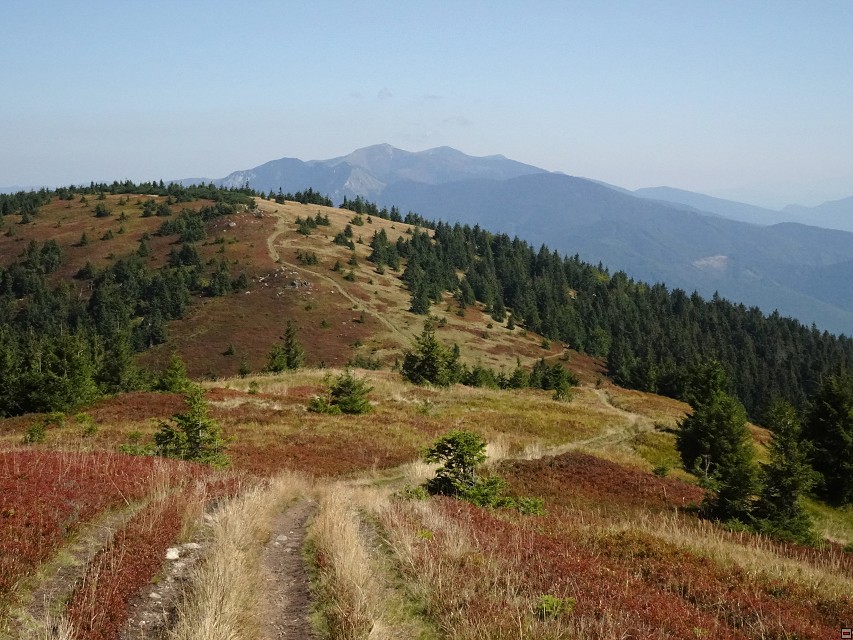 img00029.jpg