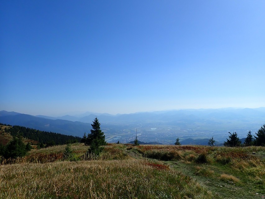 img00037.jpg