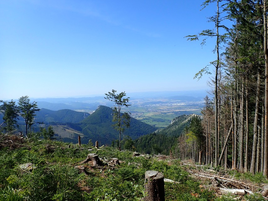 img00044.jpg