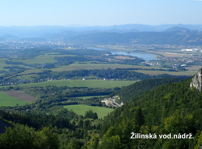 img00050.jpg