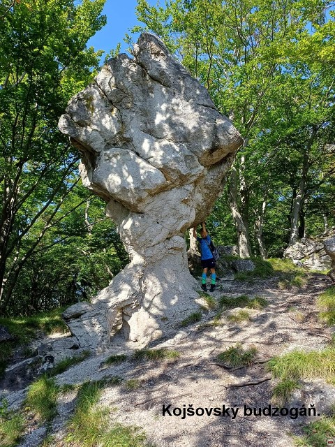 img00054.jpg