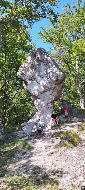img00055.jpg