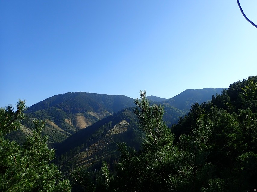 img00064.jpg