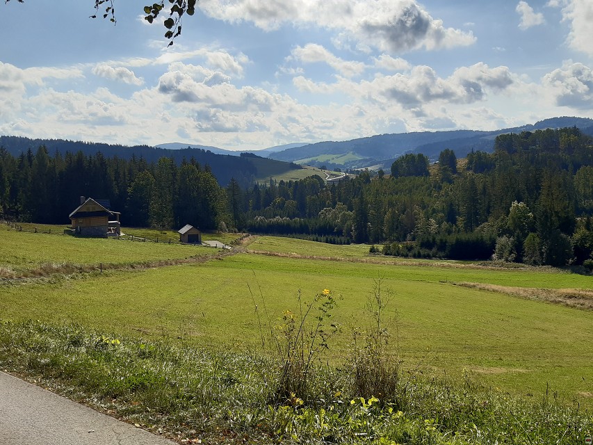 img00009.jpg