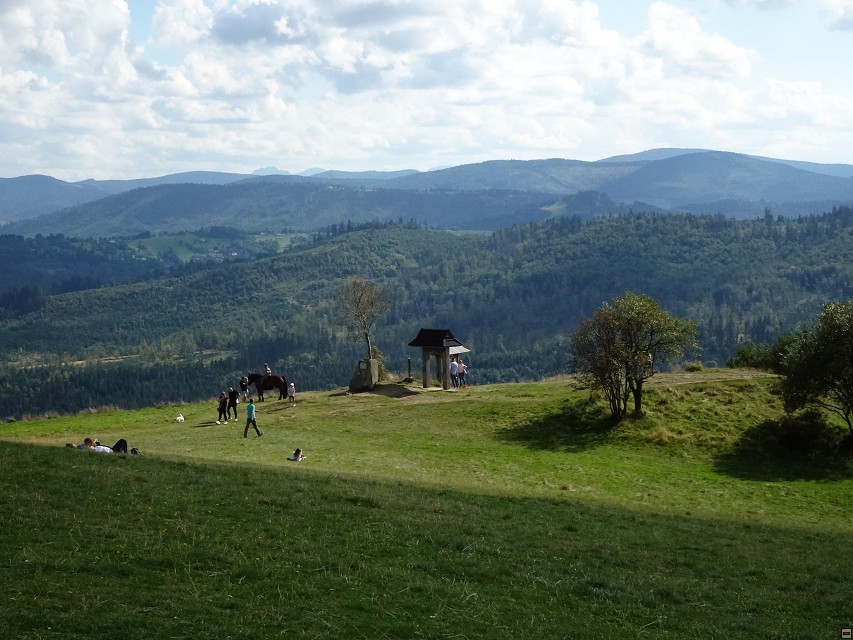 img00031.jpg