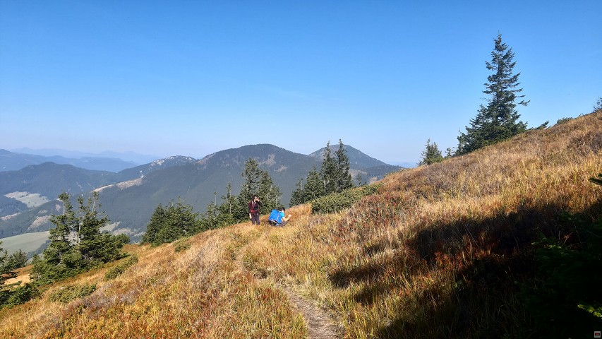 img00005.jpg