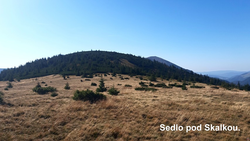 img00006.jpg