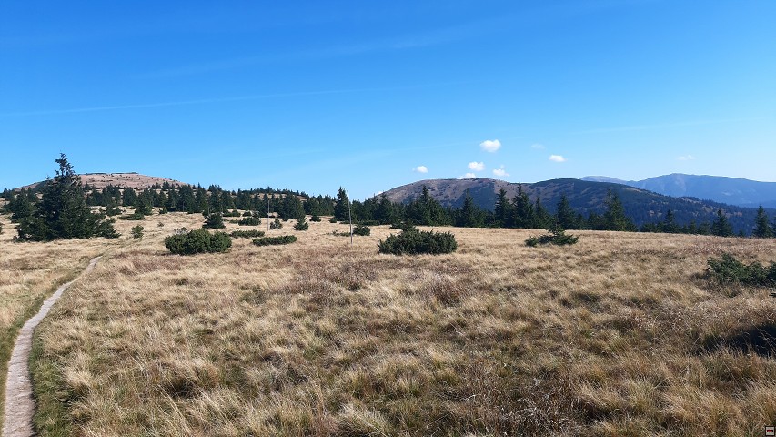 img00007.jpg