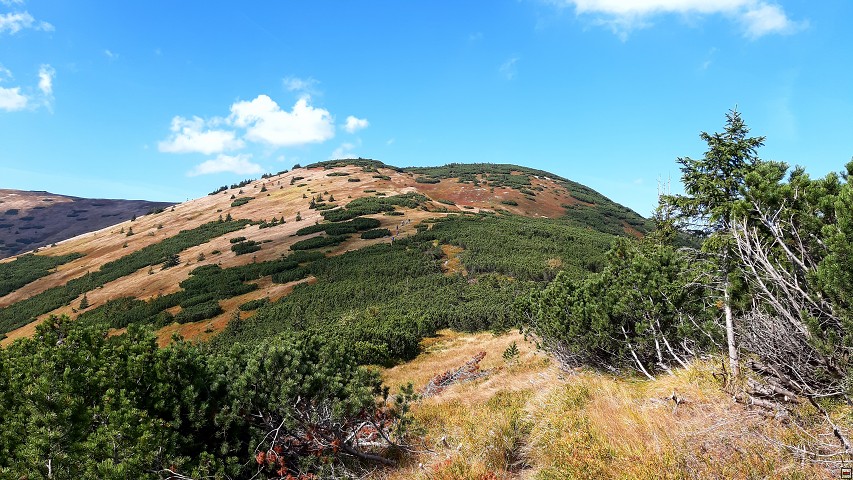 img00011.jpg
