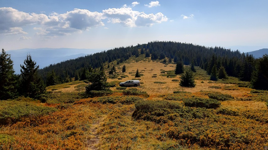 img00012.jpg