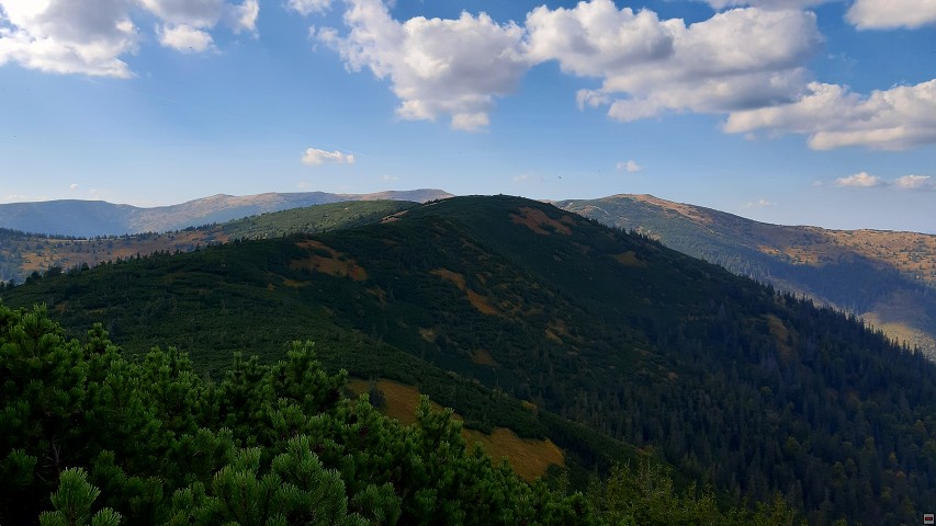 img00016.jpg