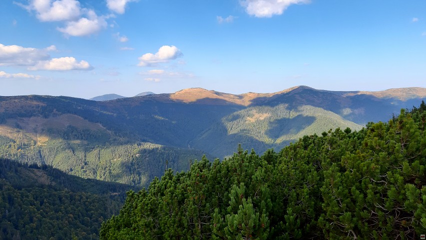 img00017.jpg