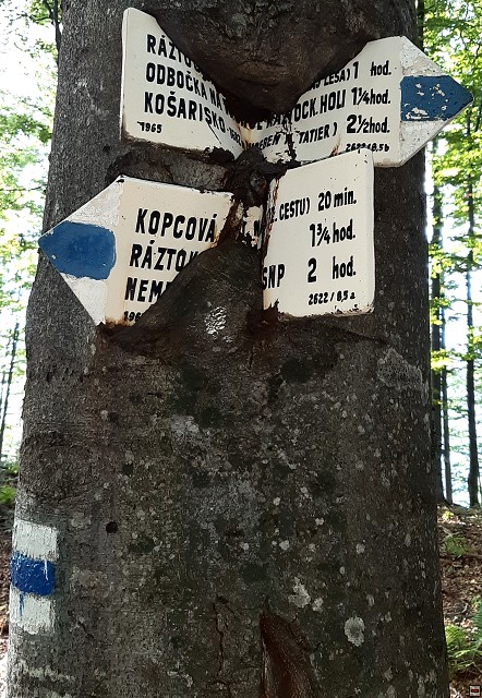 img00021.jpg