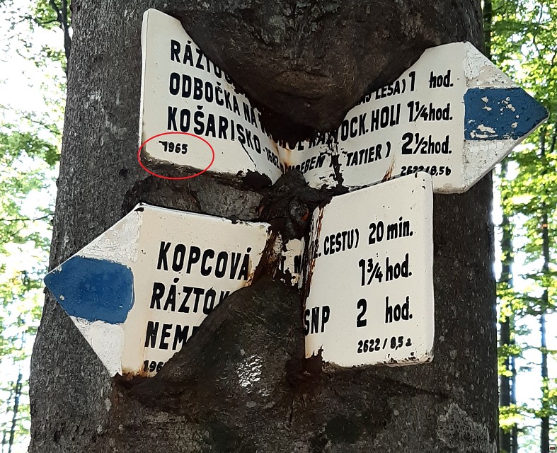 img00022.jpg