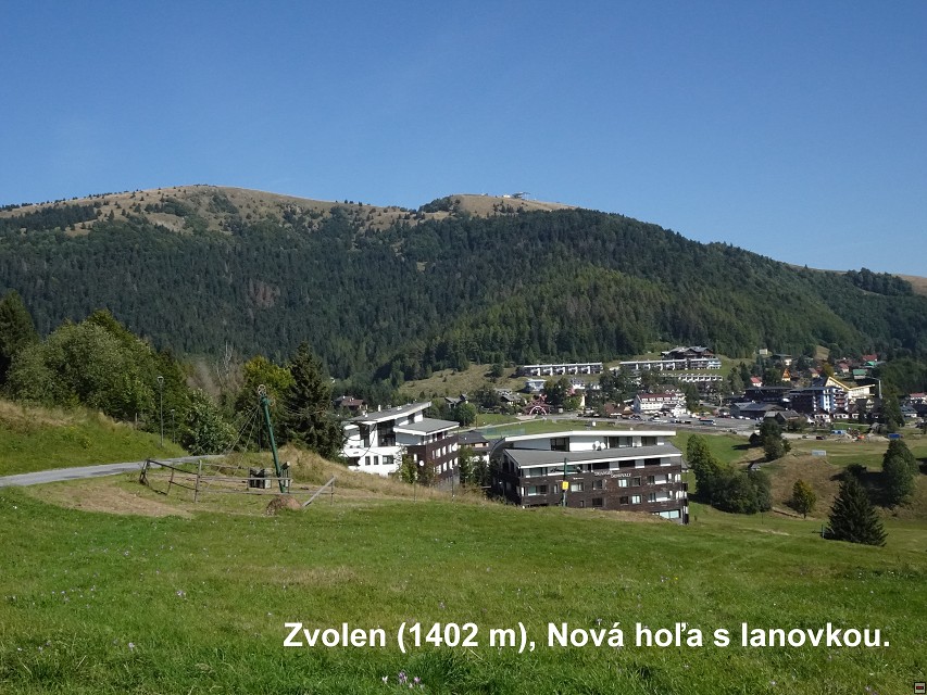 img00027.jpg