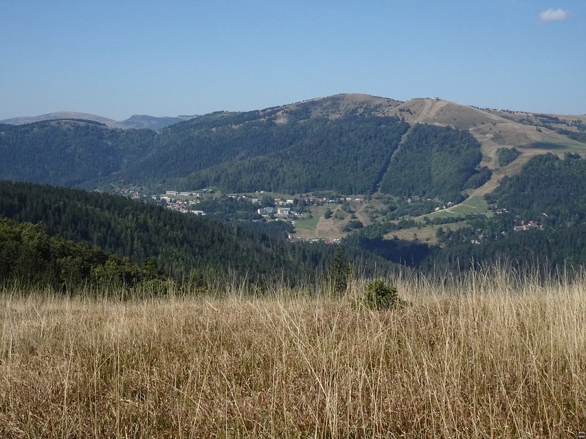 img00035.jpg