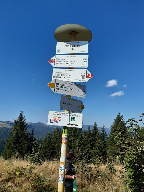 img00039.jpg