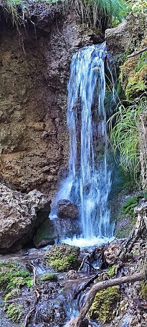 img00050.jpg