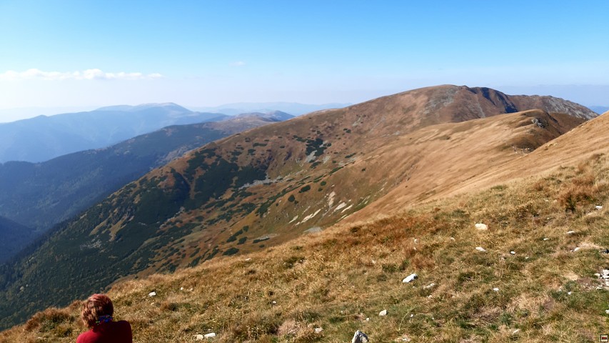 img00014.jpg