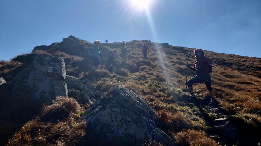 img00018.jpg
