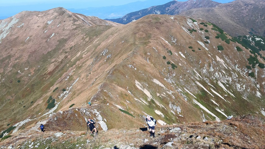 img00019.jpg