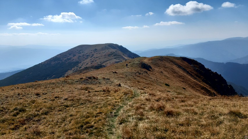 img00024.jpg