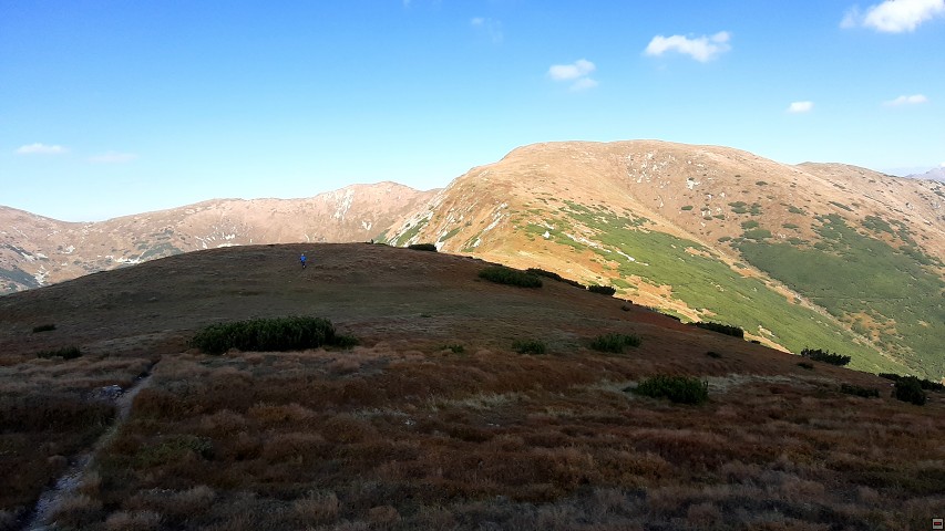 img00027.jpg