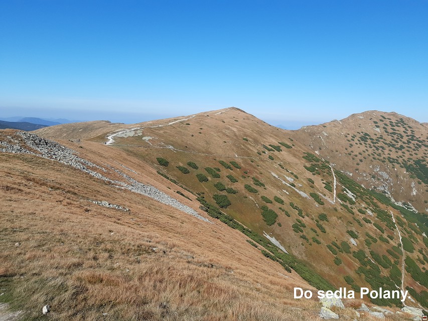 img00020.jpg