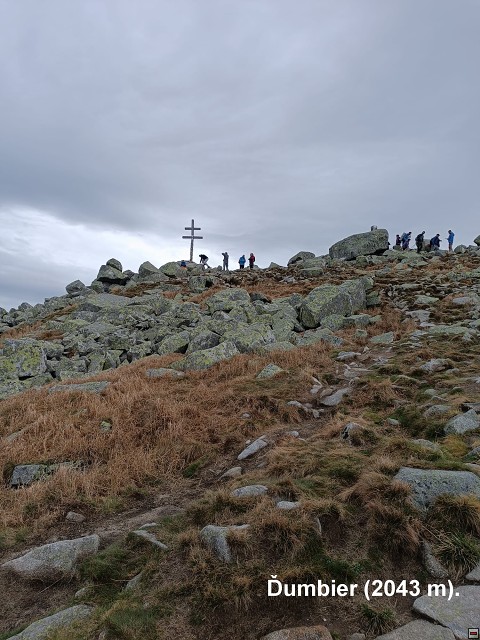 img00005.jpg