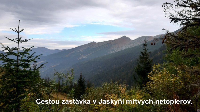 img00009.jpg