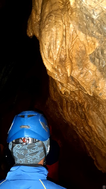 img00014.jpg