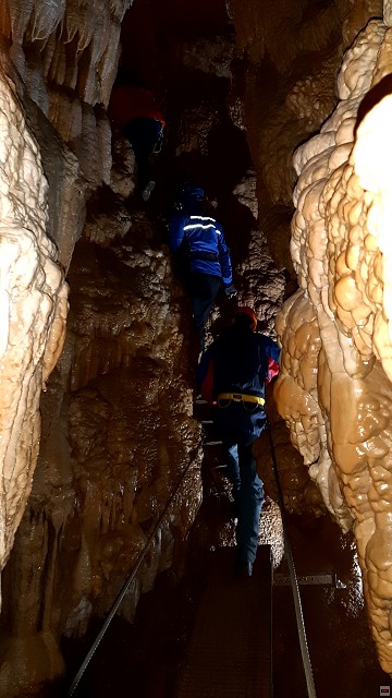 img00019.jpg