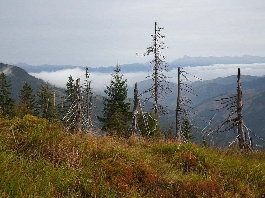 img00006.jpg
