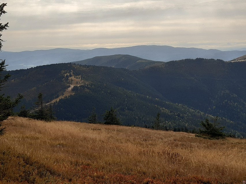 img00014.jpg