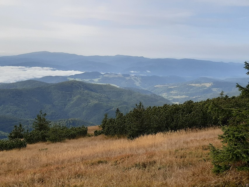 img00015.jpg