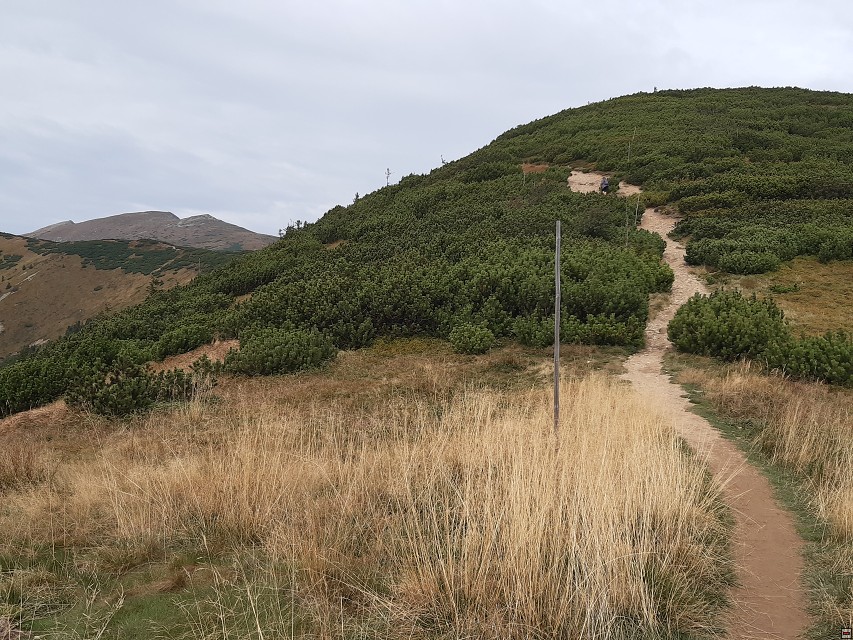 img00020.jpg