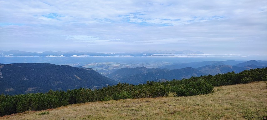 img00038.jpg
