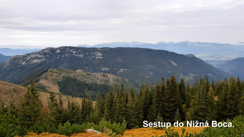 img00039.jpg