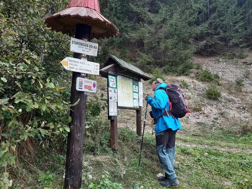 img00042.jpg