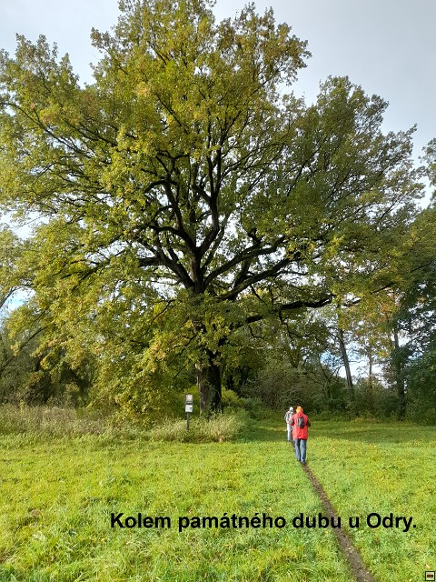 img00004.jpg