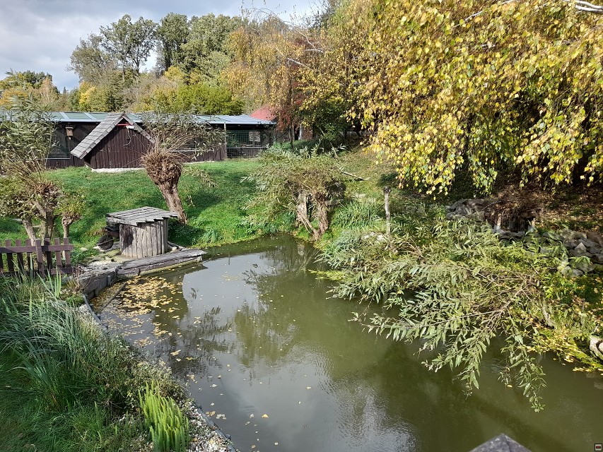 img00014.jpg