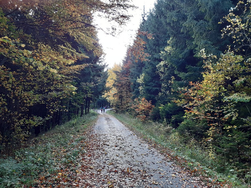 img00003.jpg