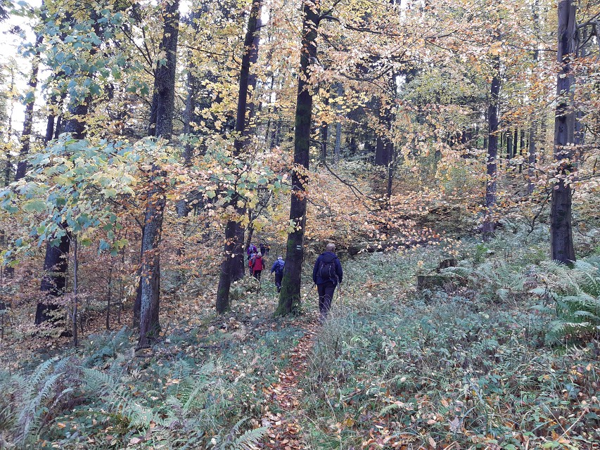 img00006.jpg