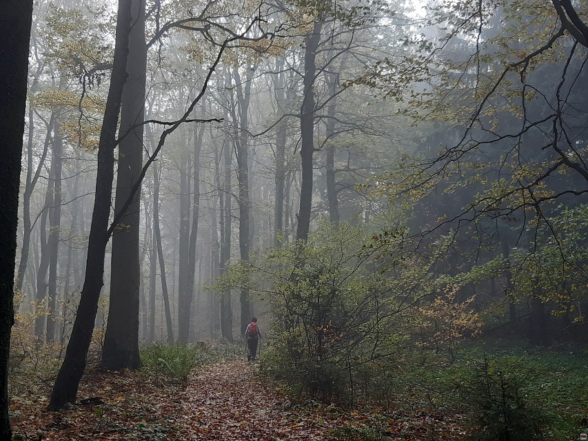 img00008.jpg