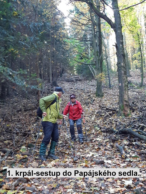 img00024.jpg