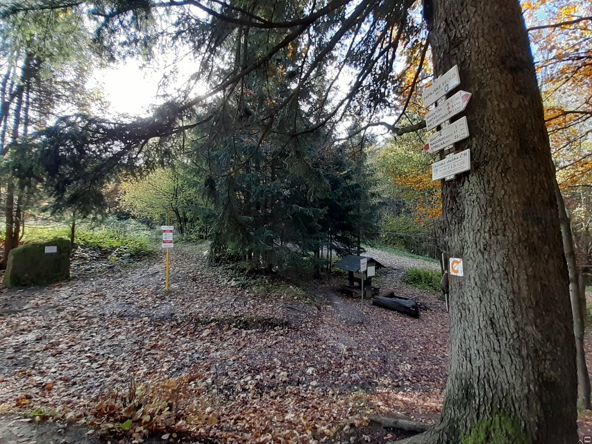 img00030.jpg
