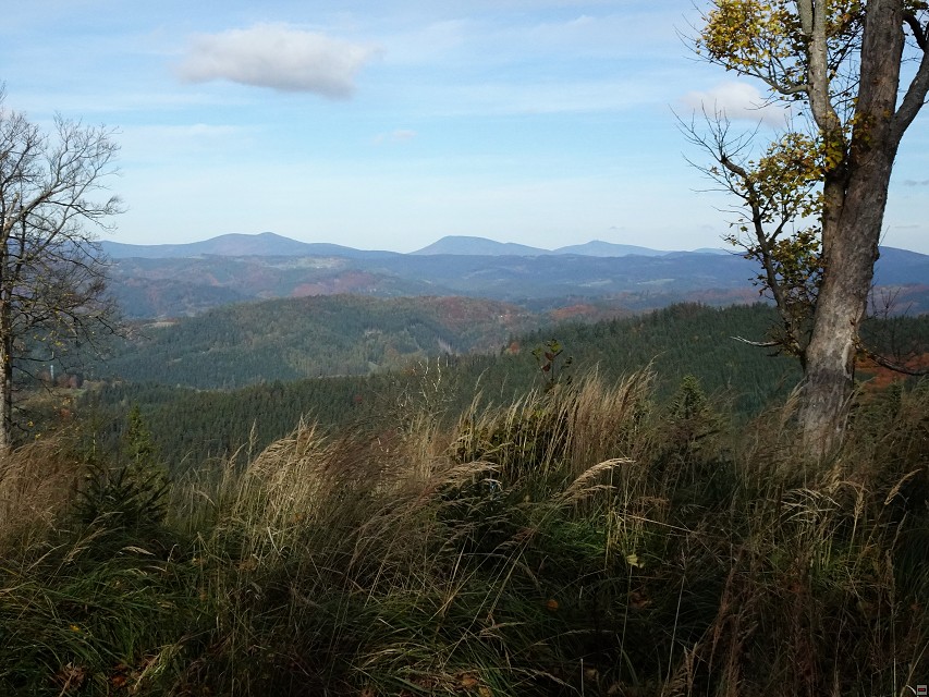 img00037.jpg