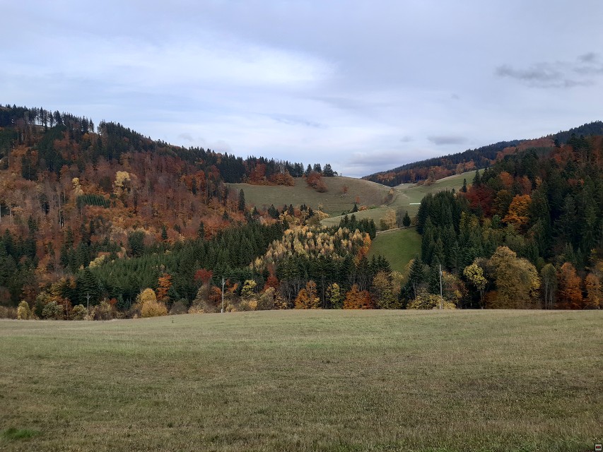 img00044.jpg