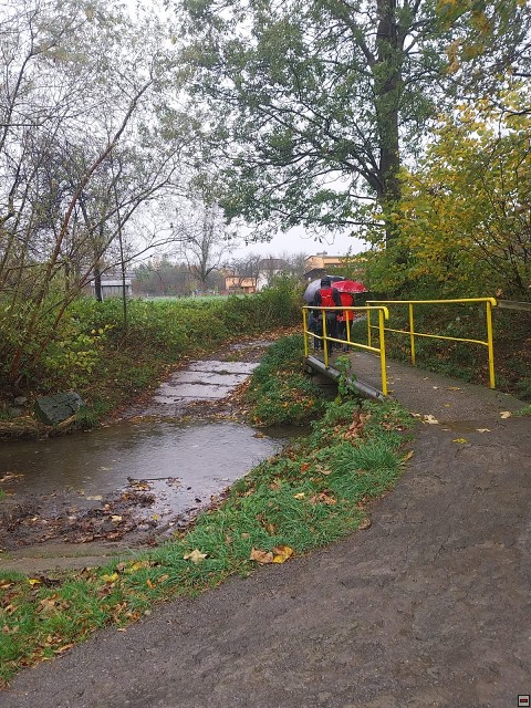 img00005.jpg